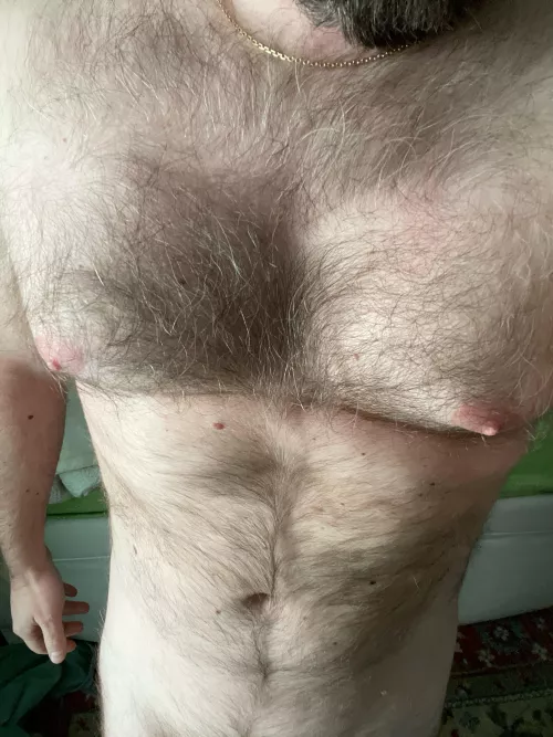 36 hairy married masculine looking for similar men Add me on Skype live:.cid.58d95fd47afa68cd by bryc244