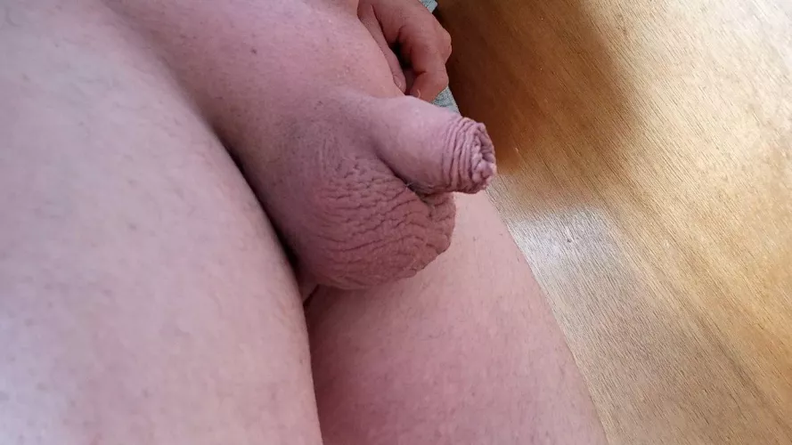 Any appreciation for tiny little guys on this Friday night? You can be kind or mean. I like you either way 😊 by CertainRaspberry2461