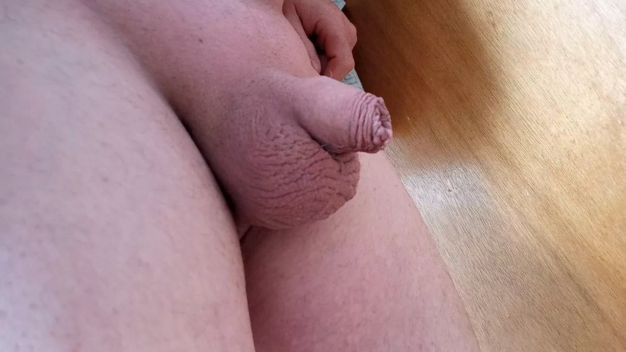 Any appreciation for tiny little guys on this Friday night? You can be kind or mean. I like you either way 😊 posted by CertainRaspberry2461