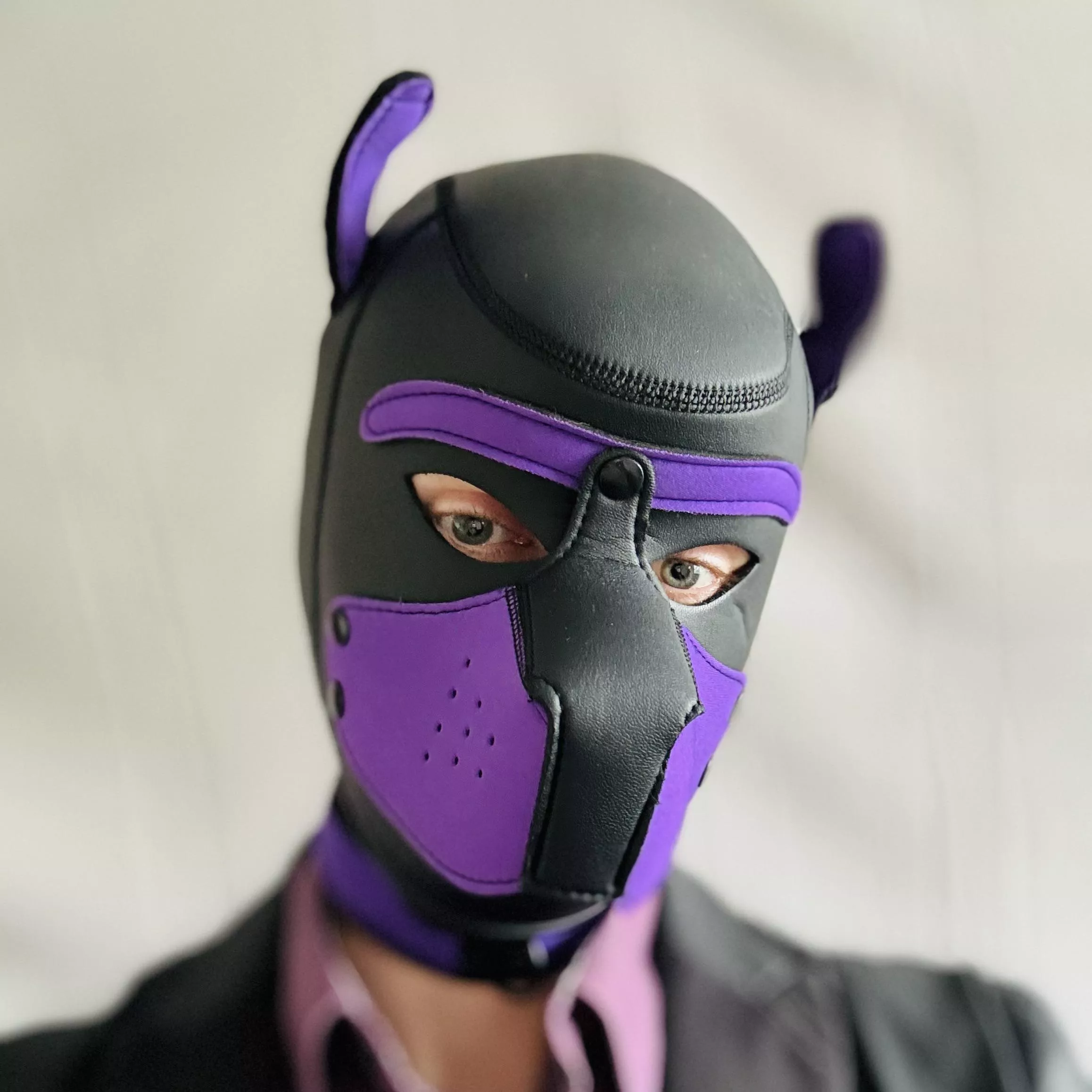 Awwroo! New pup in town.. 🐶 posted by Pup_Arlo