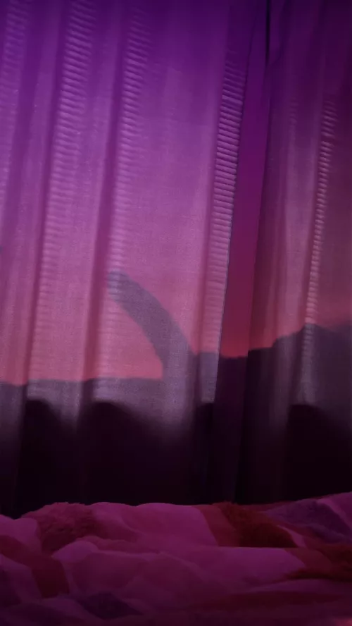 Cold Melbourne morning, just want summer back  by Mysterious-Tomato522