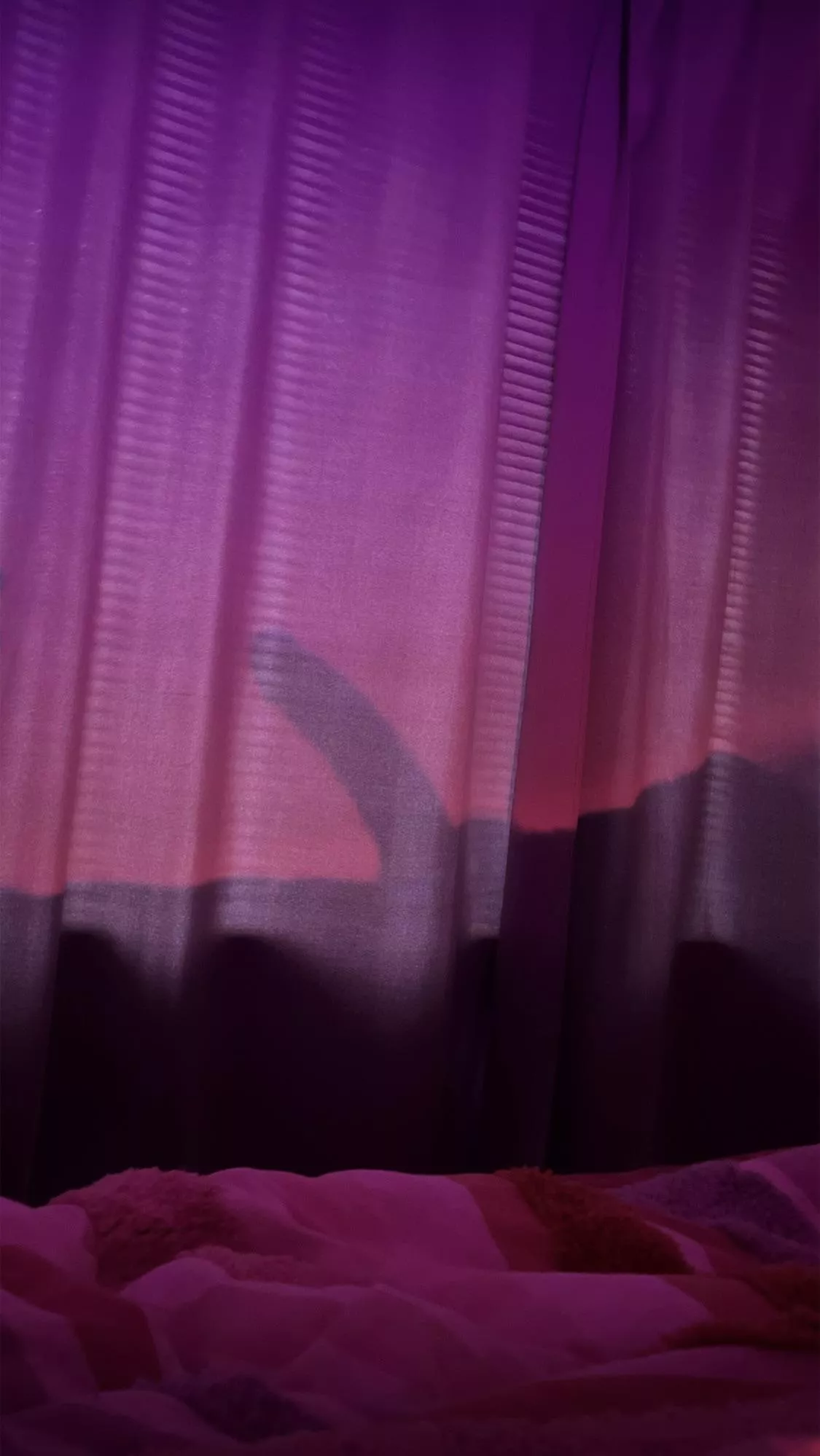 Cold Melbourne morning, just want summer back  posted by Mysterious-Tomato522