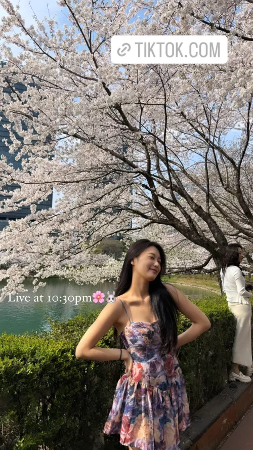 (ex-Momoland) AHIN  by Daebak__Prince