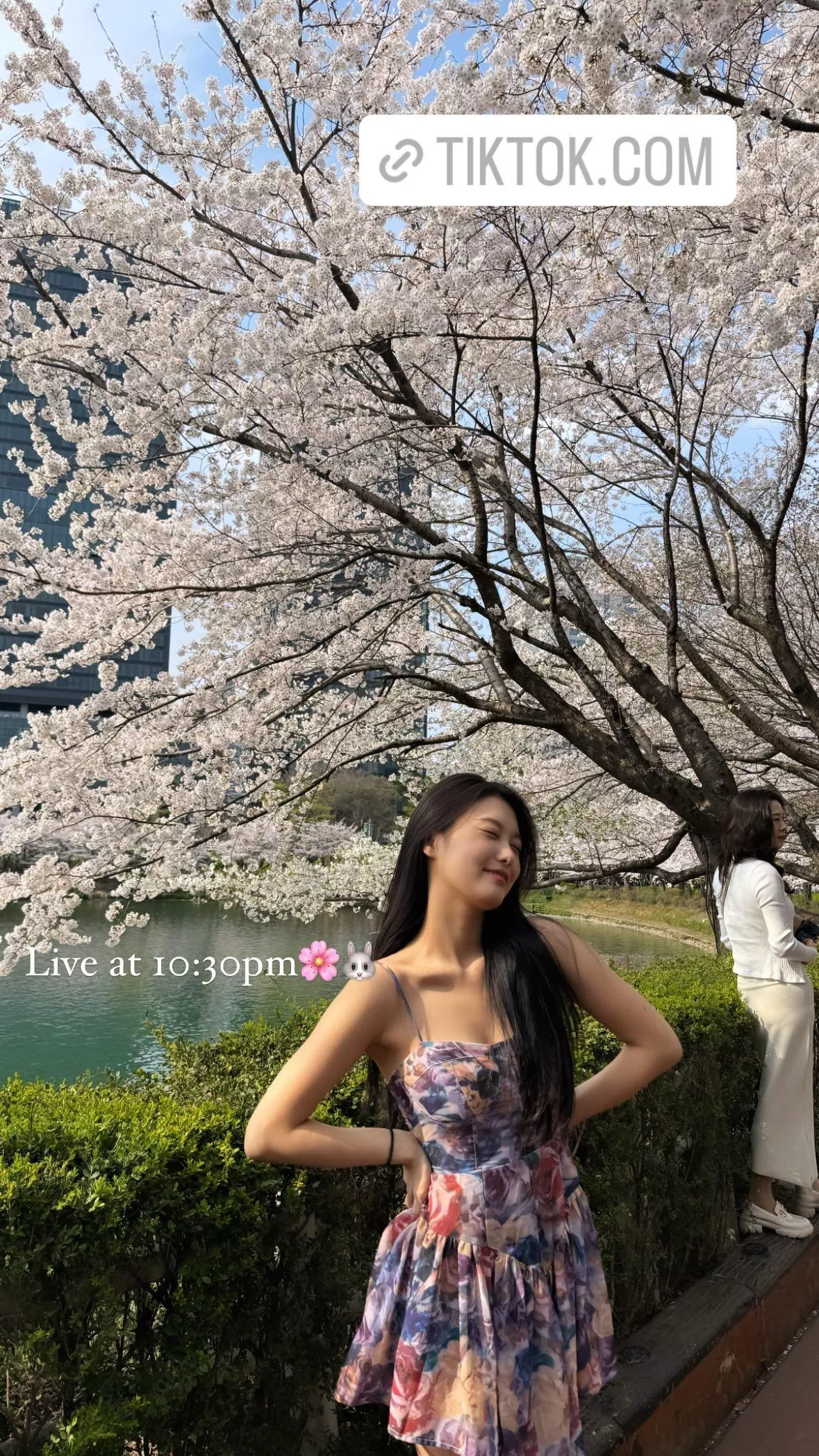 (ex-Momoland) AHIN  posted by Daebak__Prince