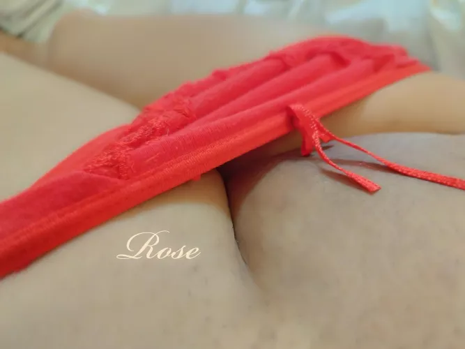 Fantasia _ by Rose by Free_Rose_