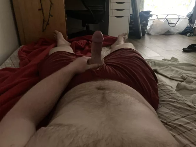 good morning ;) by TheBoxersDude