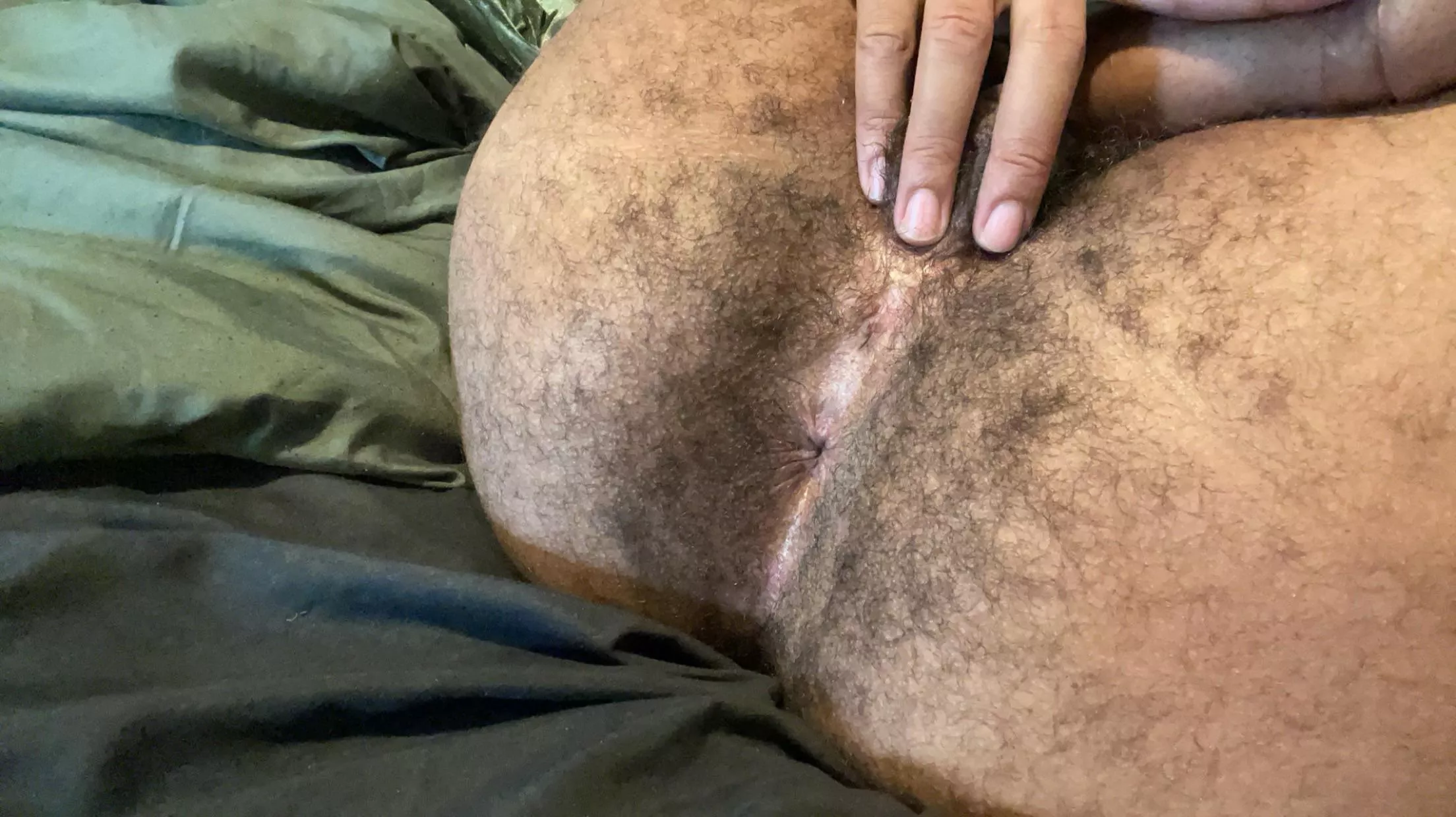 Hairy enough?  posted by Montage24