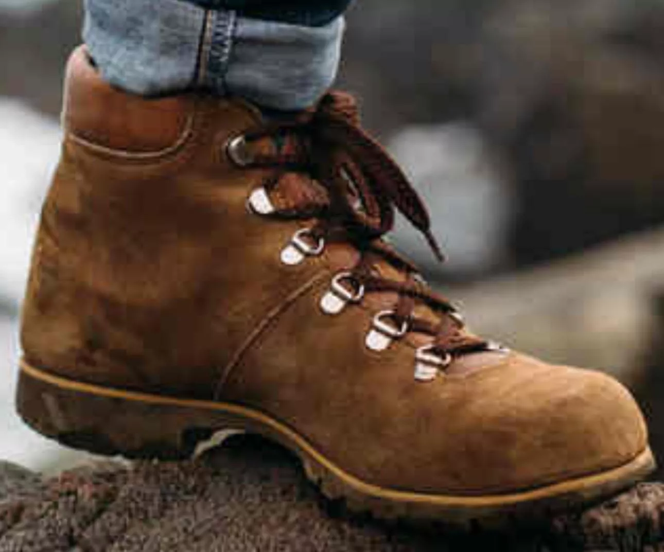 Help me identify these please. posted by Full-Apricot-1358