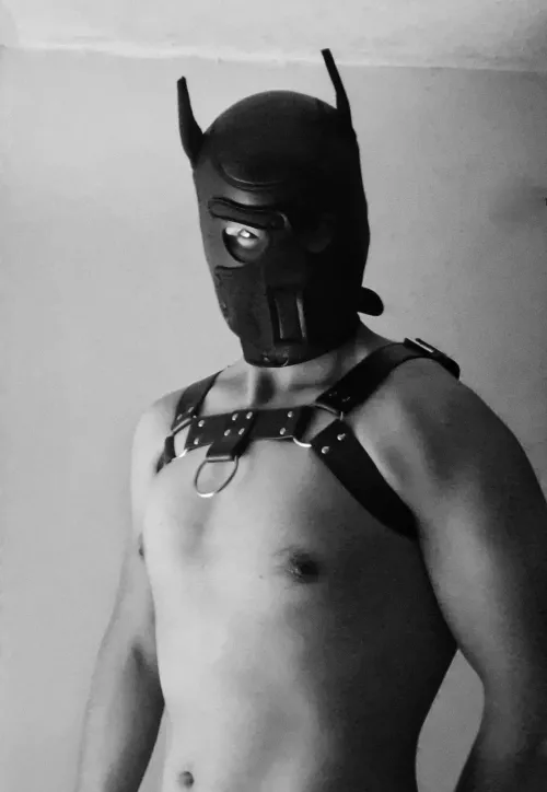 Hi  by Flashy_Region2402