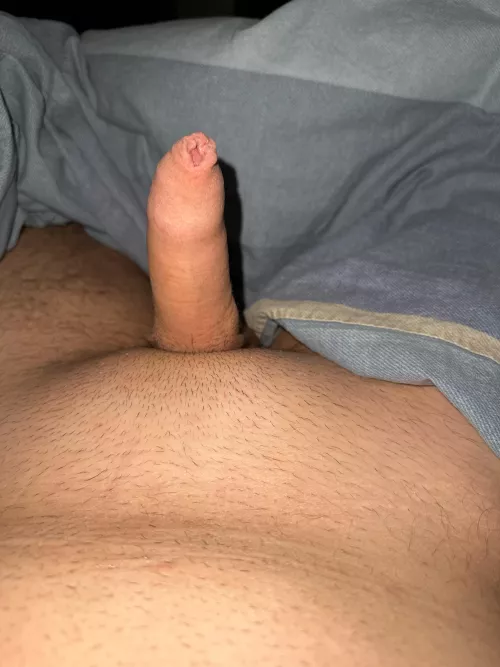 How is it? Tiny or perfect? by Reasonable_Ant6293