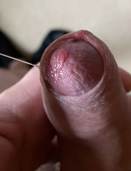 I need someone to lick it (25) by Dull_Drummer6564