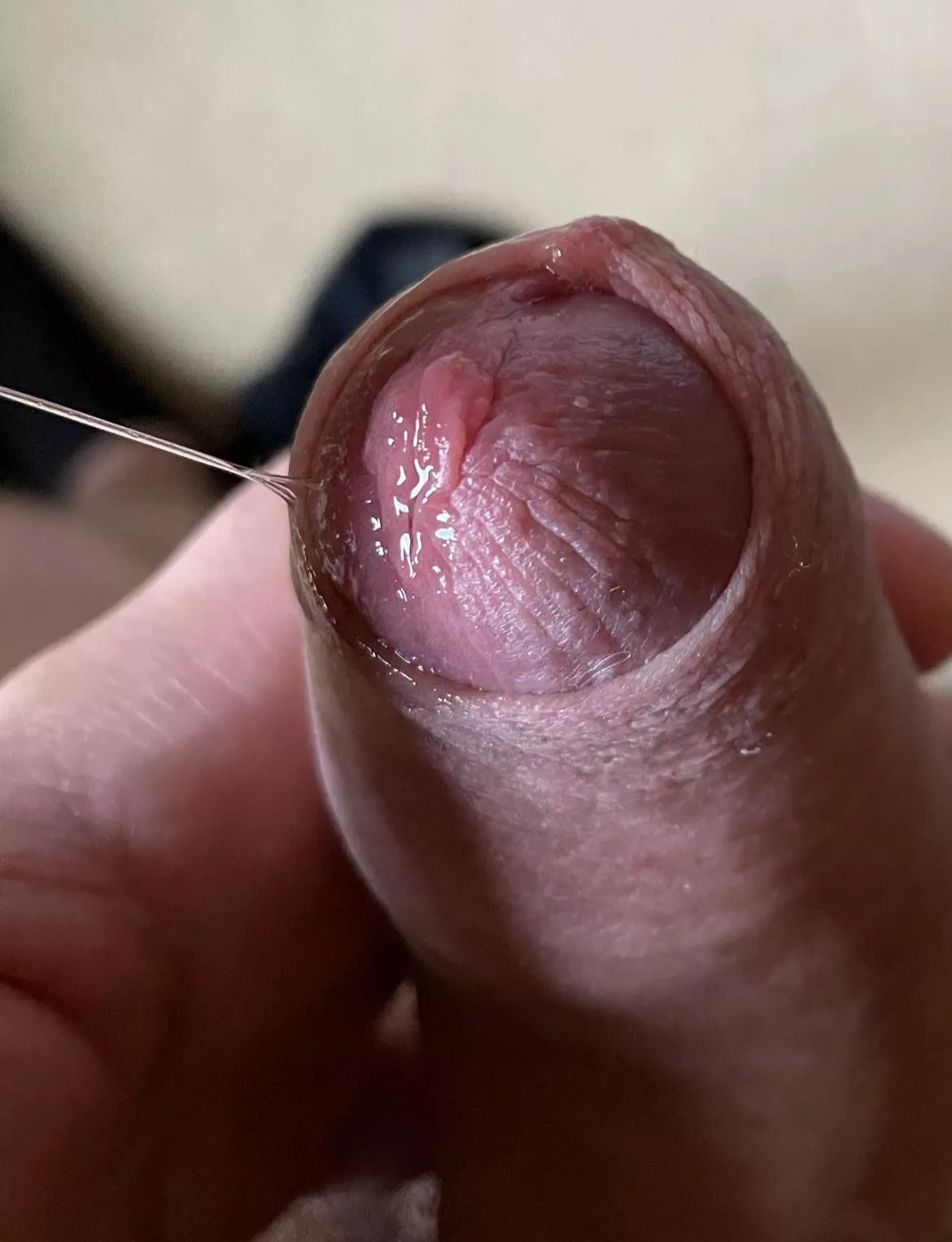 I need someone to lick it (25) posted by Dull_Drummer6564