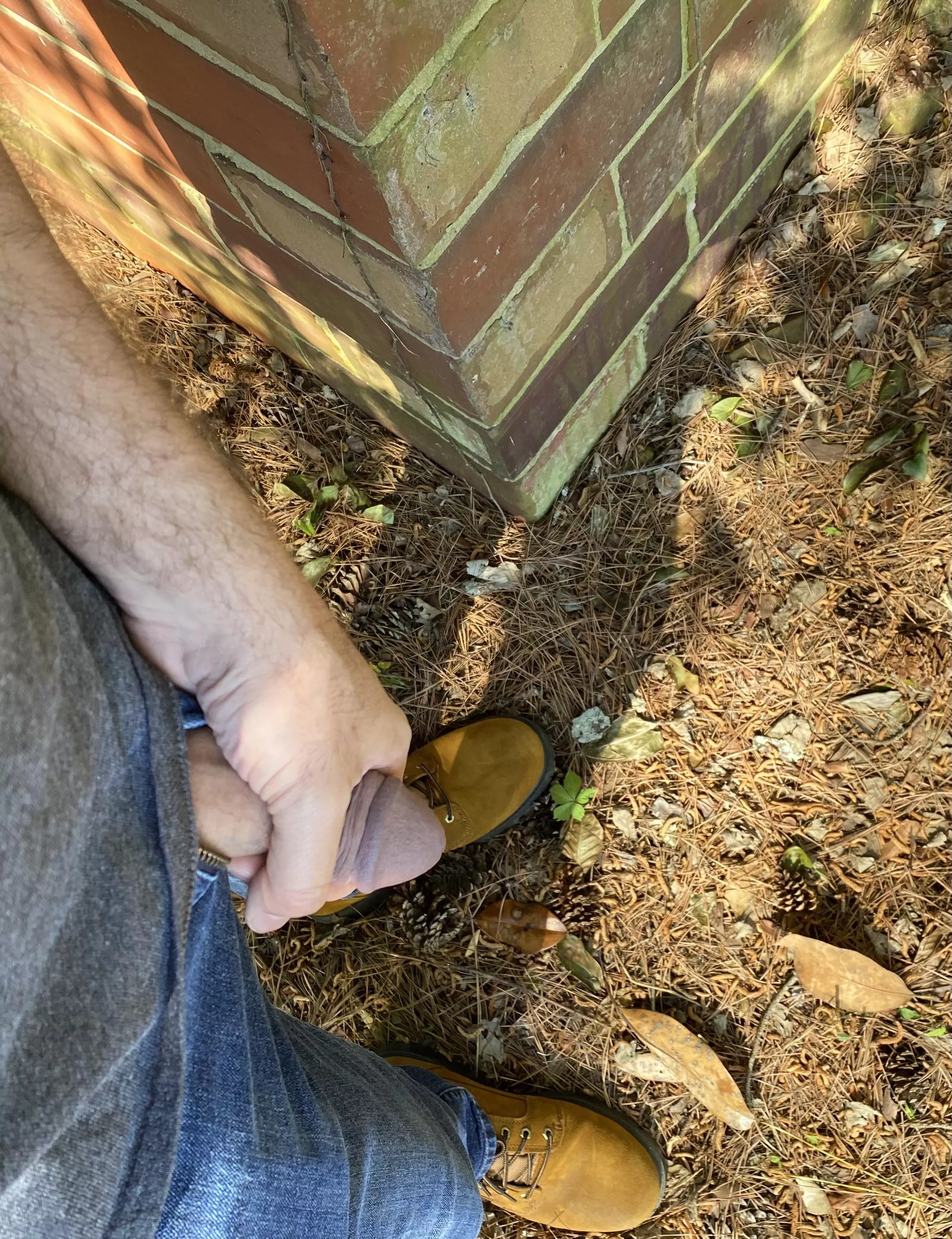 Just whipping it out to take a leak behind the shed. So great to be back on the land. posted by traegertrigger009