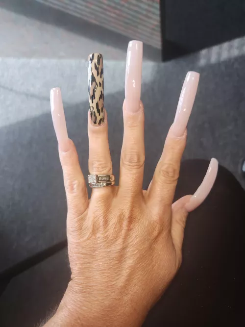 New set by sexywifekat