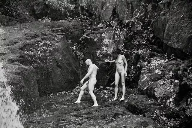 NY Rocks posted by MannixTheCat