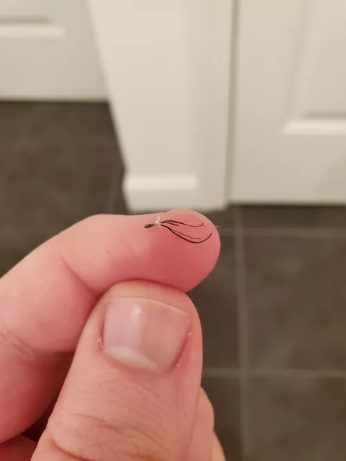 Pulled a little squid out of my beard by BeenOutTheGame