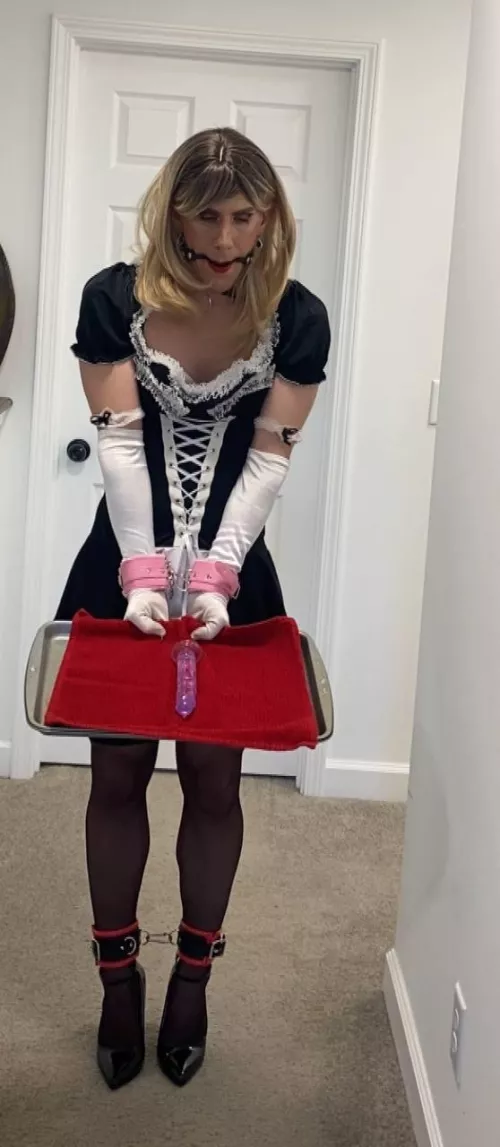 Since you all wanted to see more of my sissy Bree. Here you go! What do you think about her??  by Forward_Speech_9340