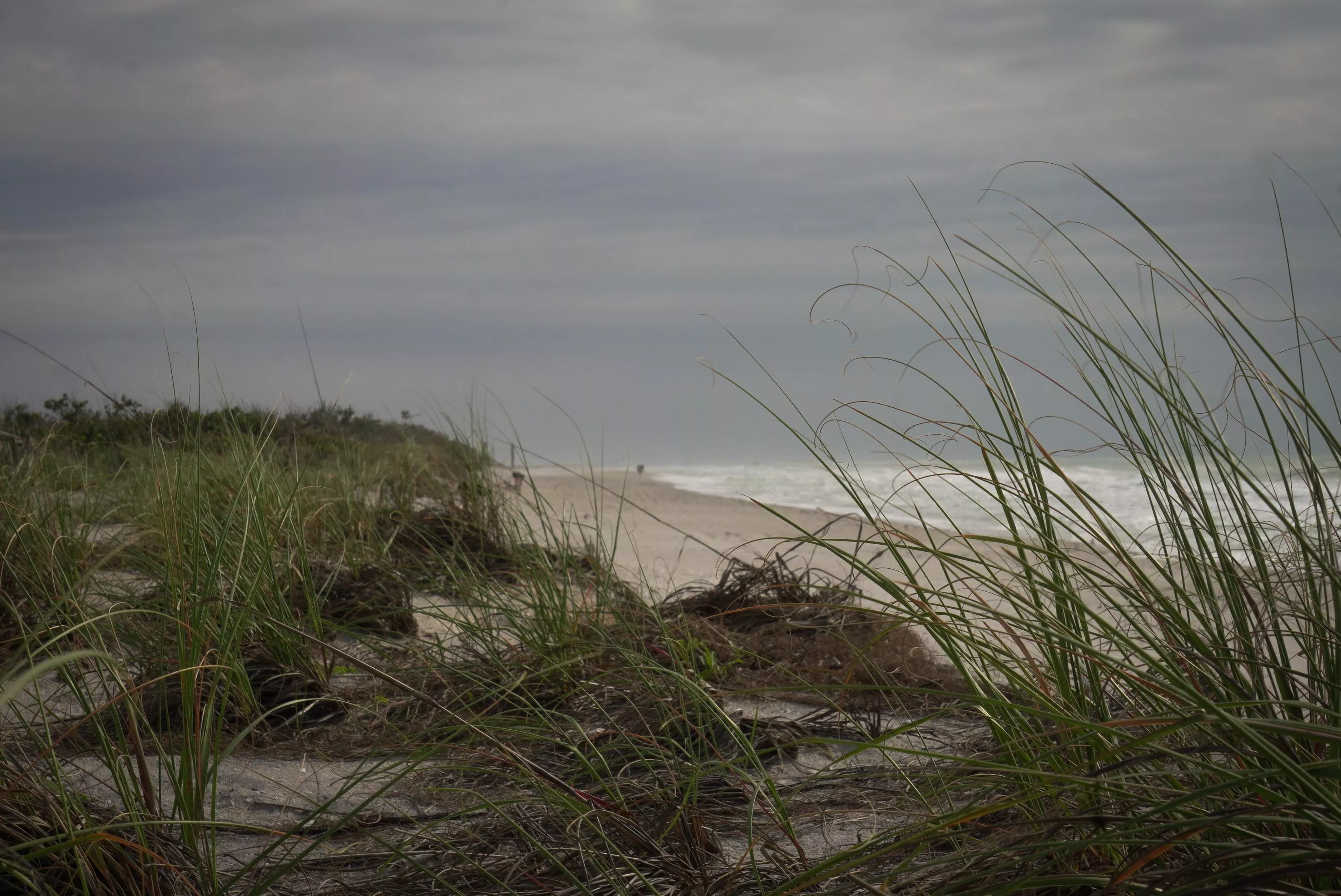 Stump Pass Beach Englewood, FL posted by roam_free_photos