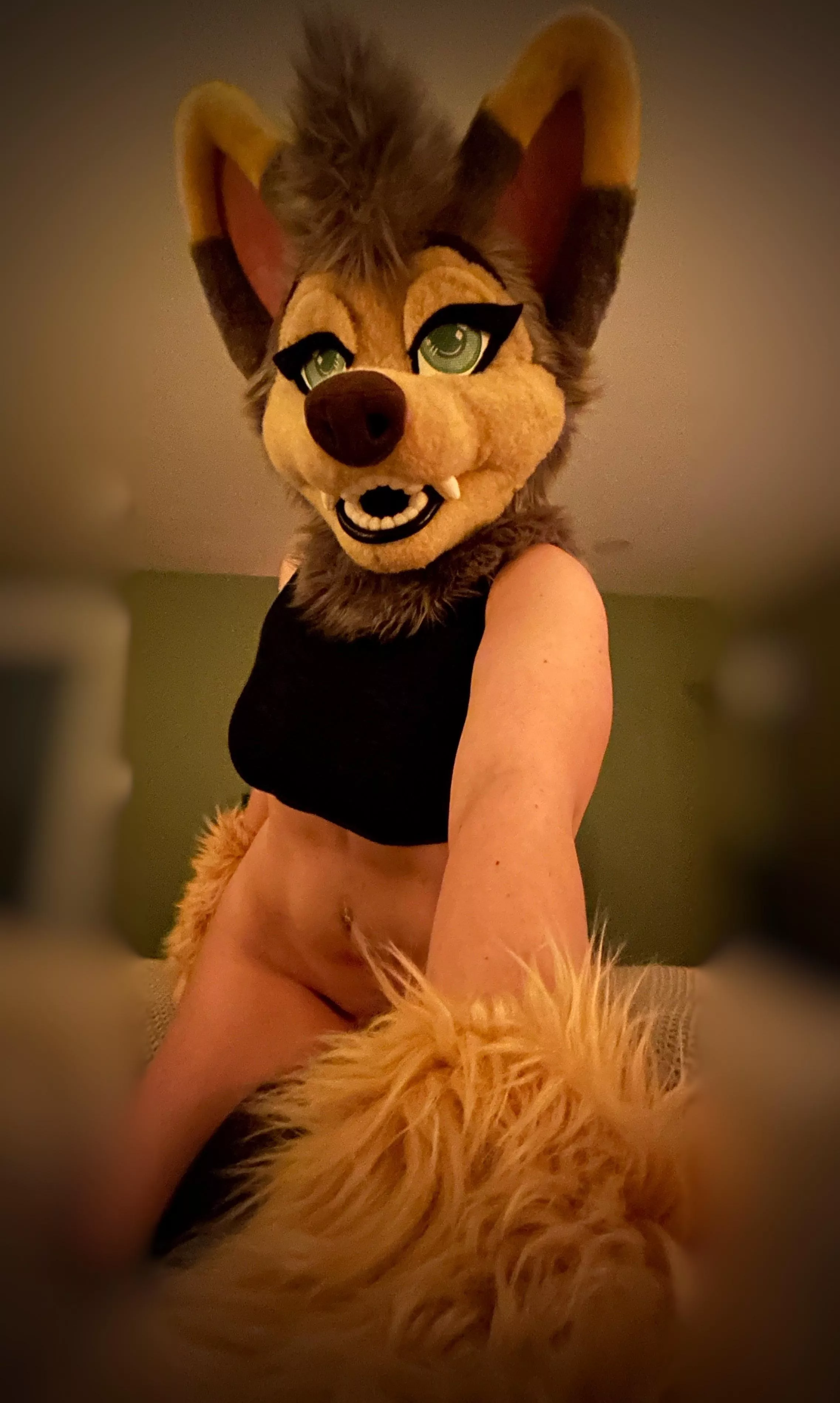 You want to act like a mutt? Punishment is the only answer. posted by EverlyRay