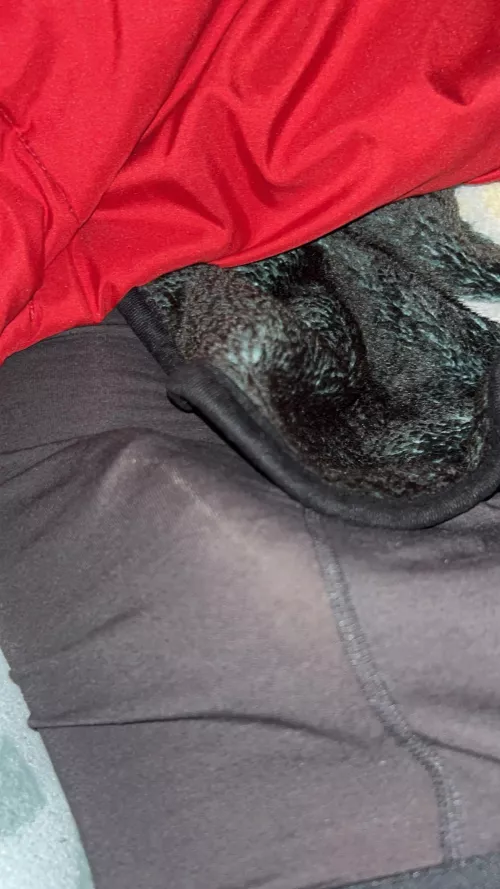 A little see through by Dohmm