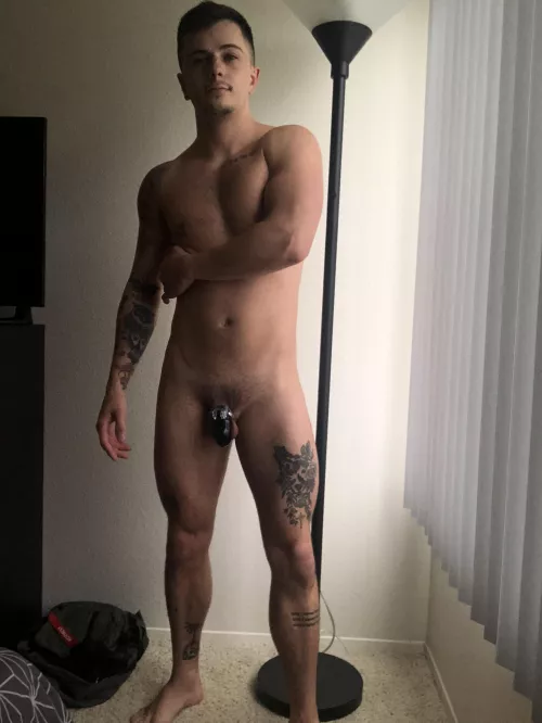 Another lockup begins.... by Ok-Mycologist-9073