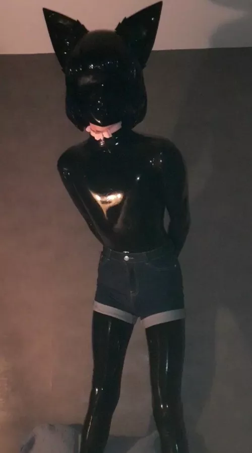 Apologies for the poor quality, hard to take decent pics on the first night in the new house :3 by BunchOfTwelveBunnies