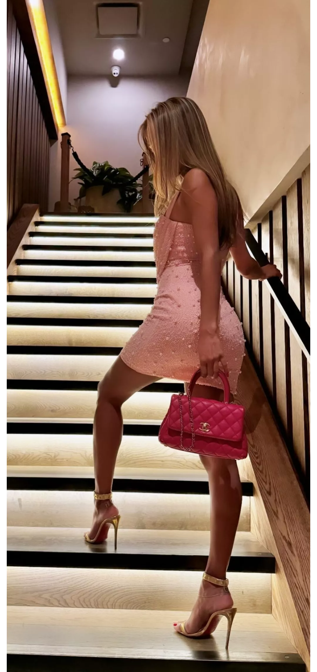 Dusty posted by Dependent_Lie_1874