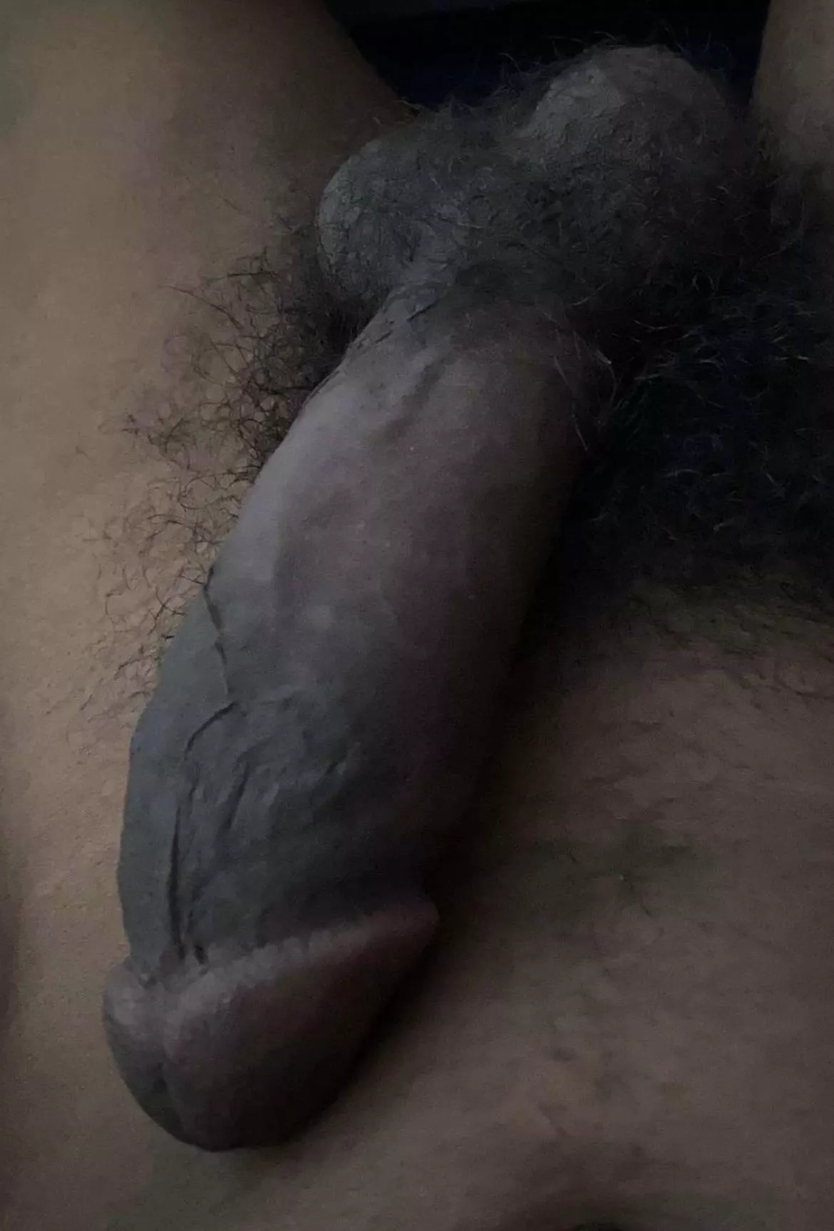 Good morning , any ladies wanna keep this black cock company today? posted by SubbyTurtle