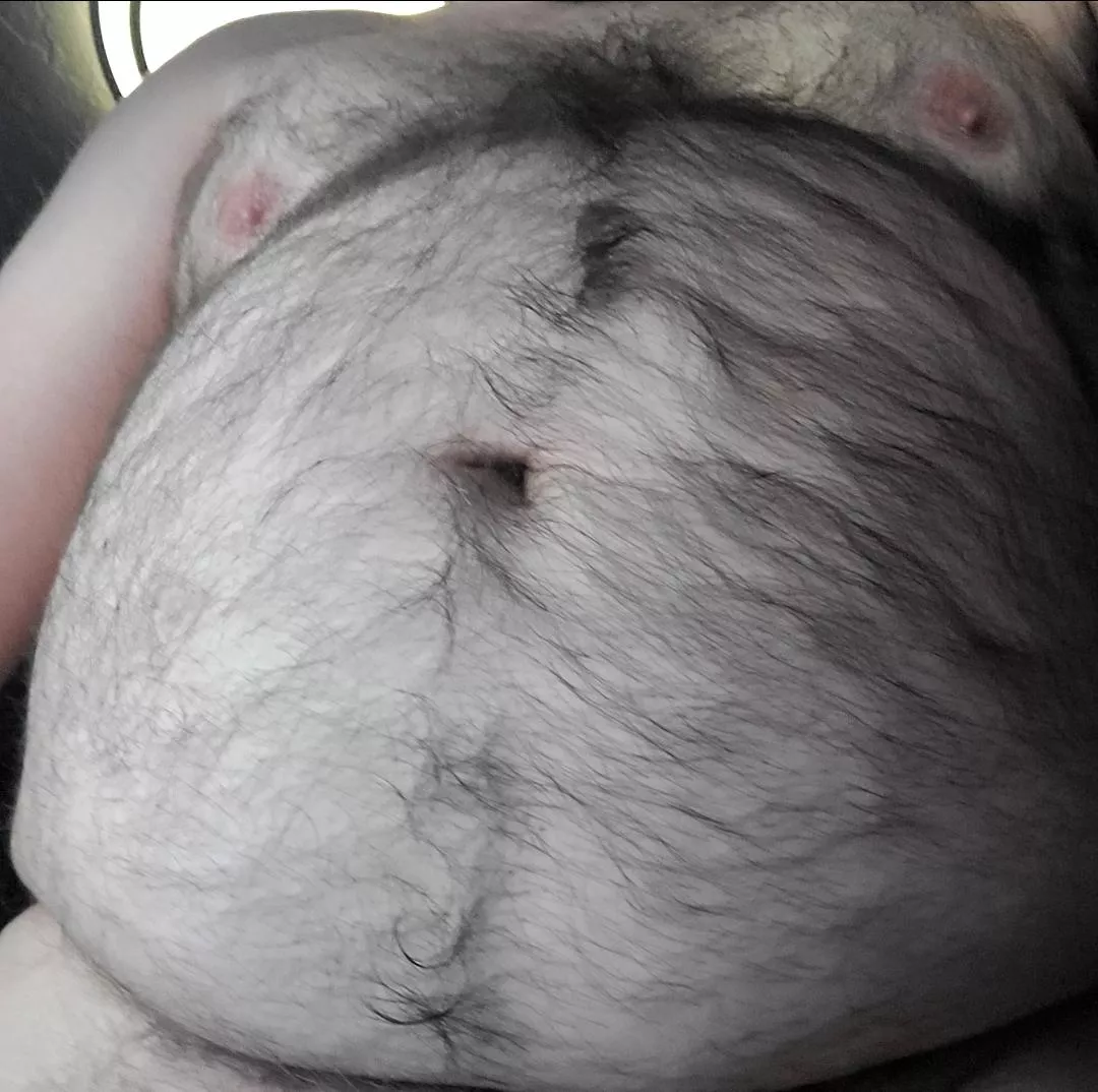 Hairy belly closeup. What do you think?  posted by femboysexer