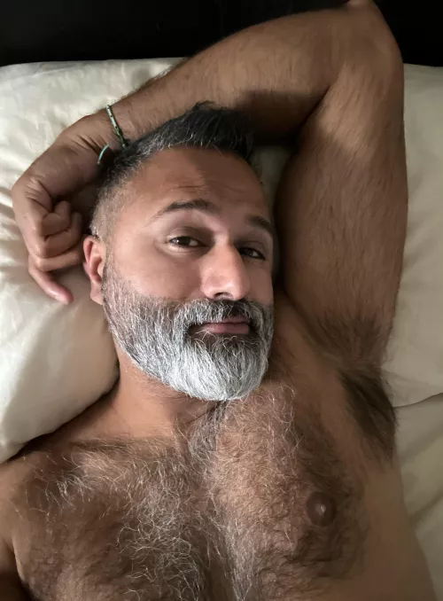 Hairy brown man, HMU to chat by samchatsnap