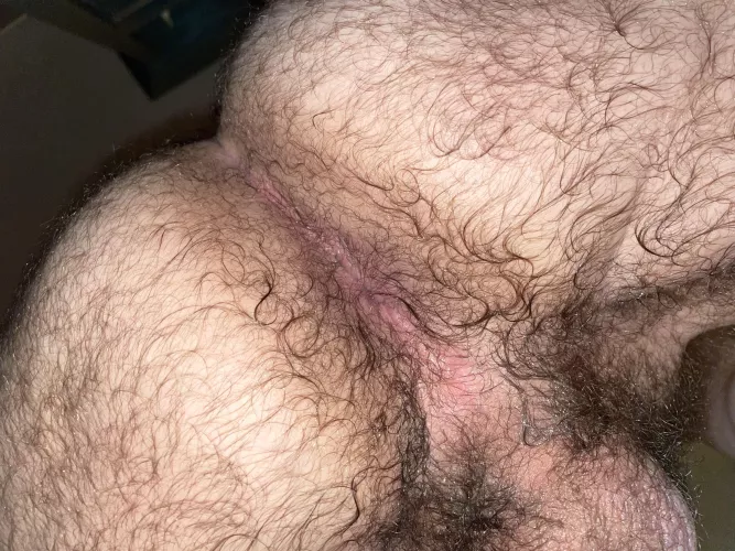 How big of a load would you put in me? by Jolly_Hat_6560