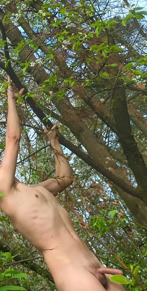 It's finally spring! Time to hug some trees by sixzerozerotwo