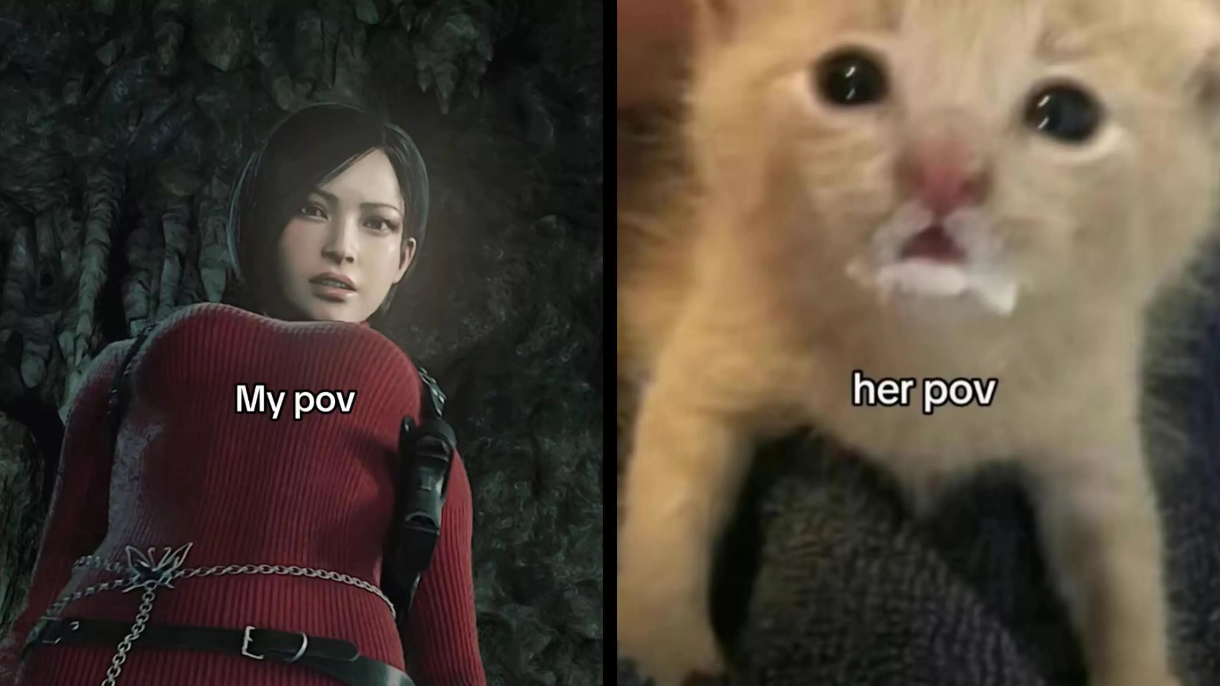 Just How It Should Be 🥴 posted by LeashMePls