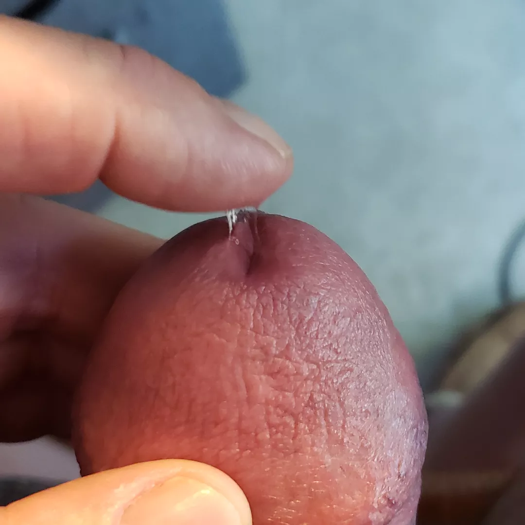 Little pre-cum to play with  posted by RaMMUHard