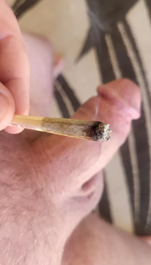 [M] Happy Sunday Funday!!  by hedonistlife420