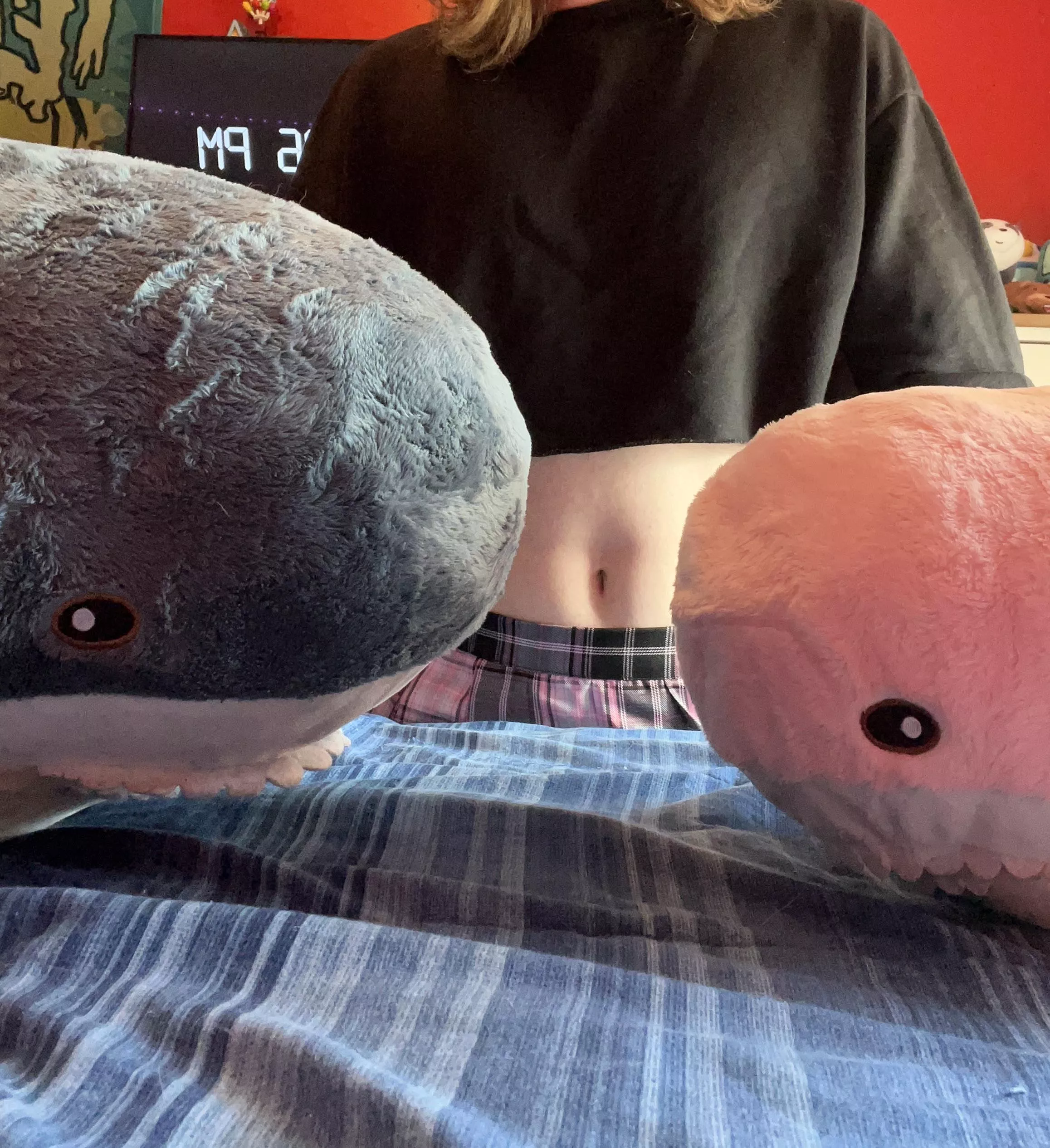 My Blahajs got married :3 posted by l23456789l011