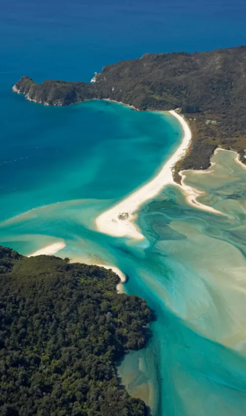 Noosa Beach, Australia by jfontalvo