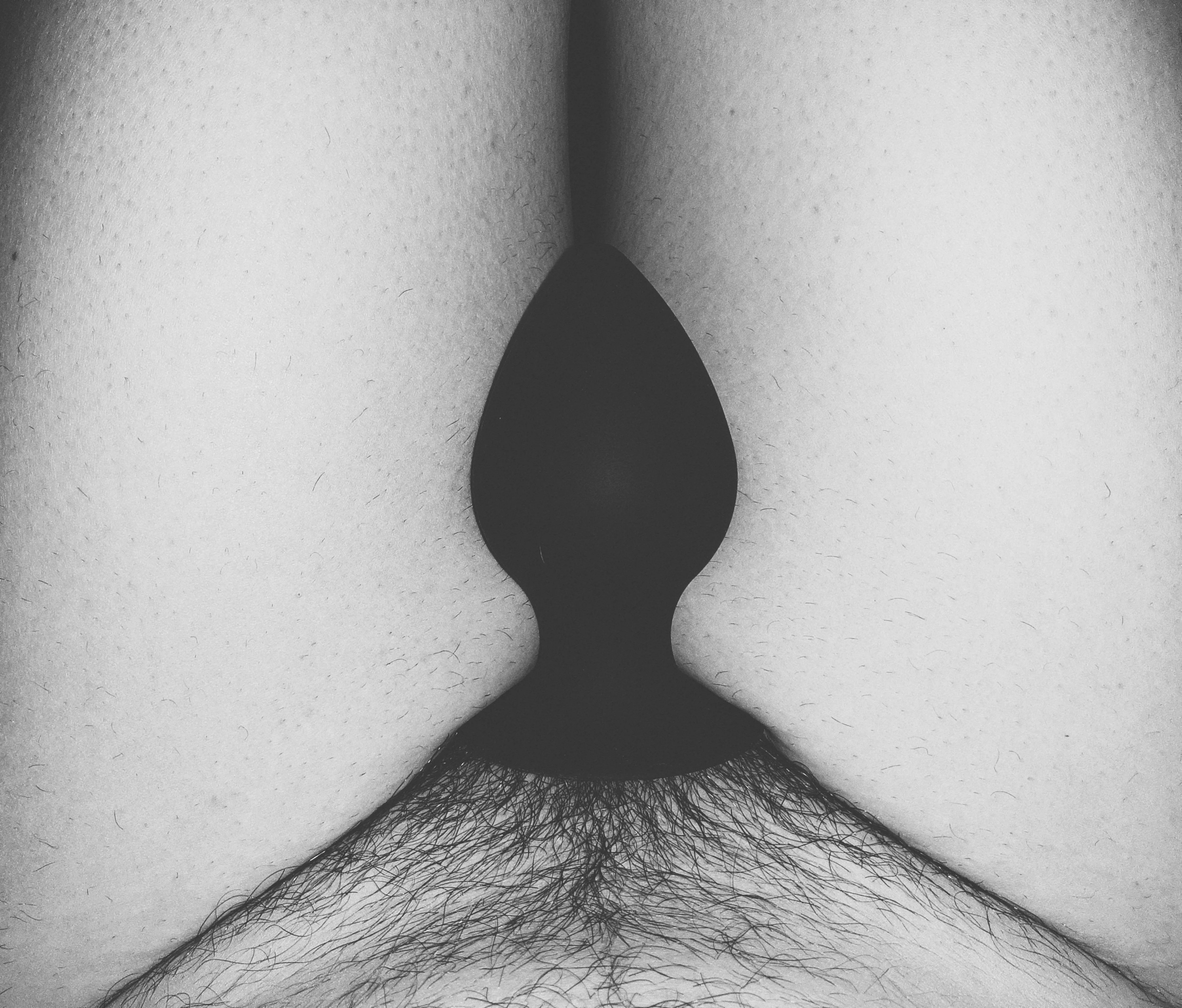 Playtime posted by saguaro1391