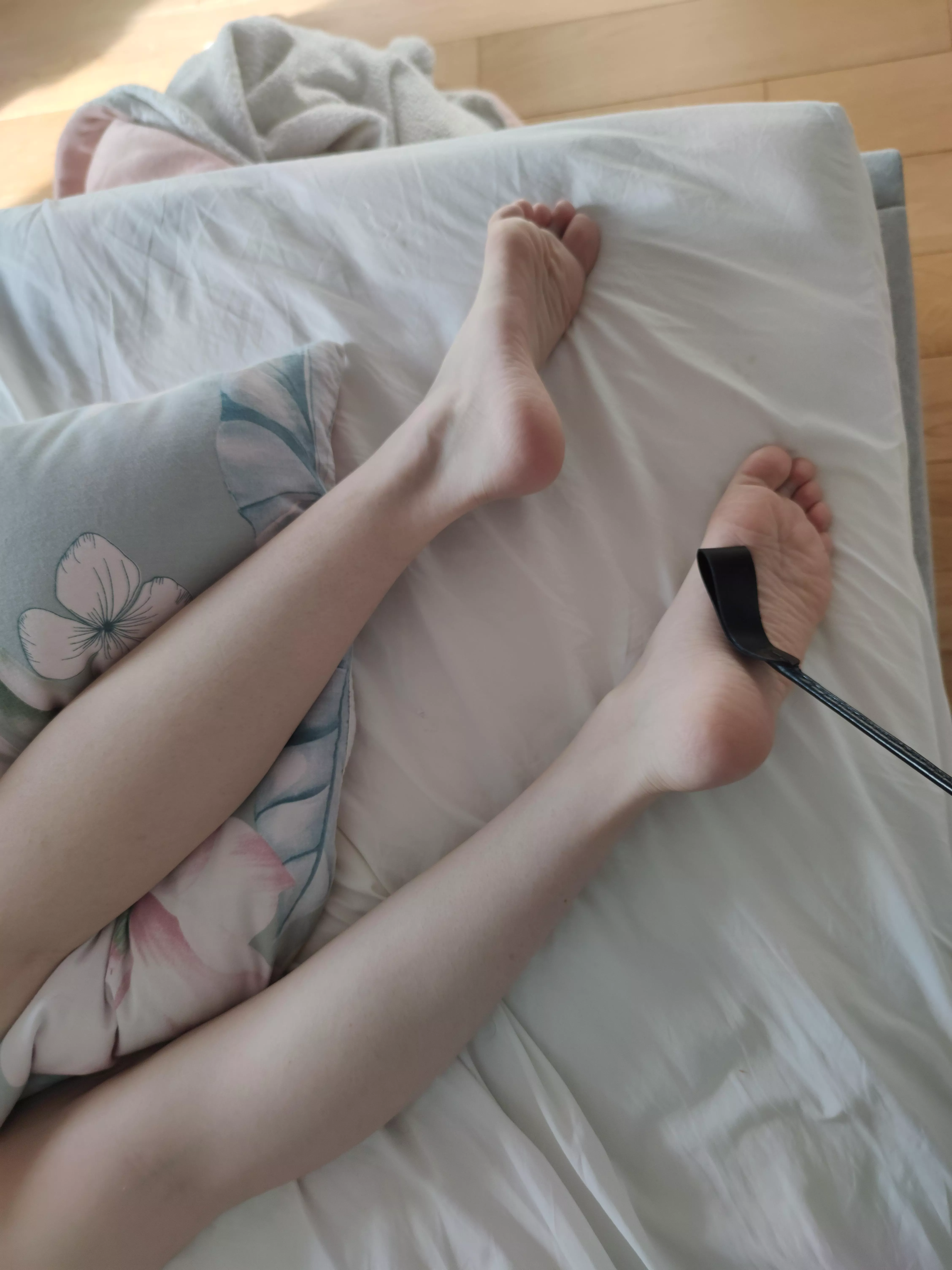 start of the session posted by VivianTheWayfarer