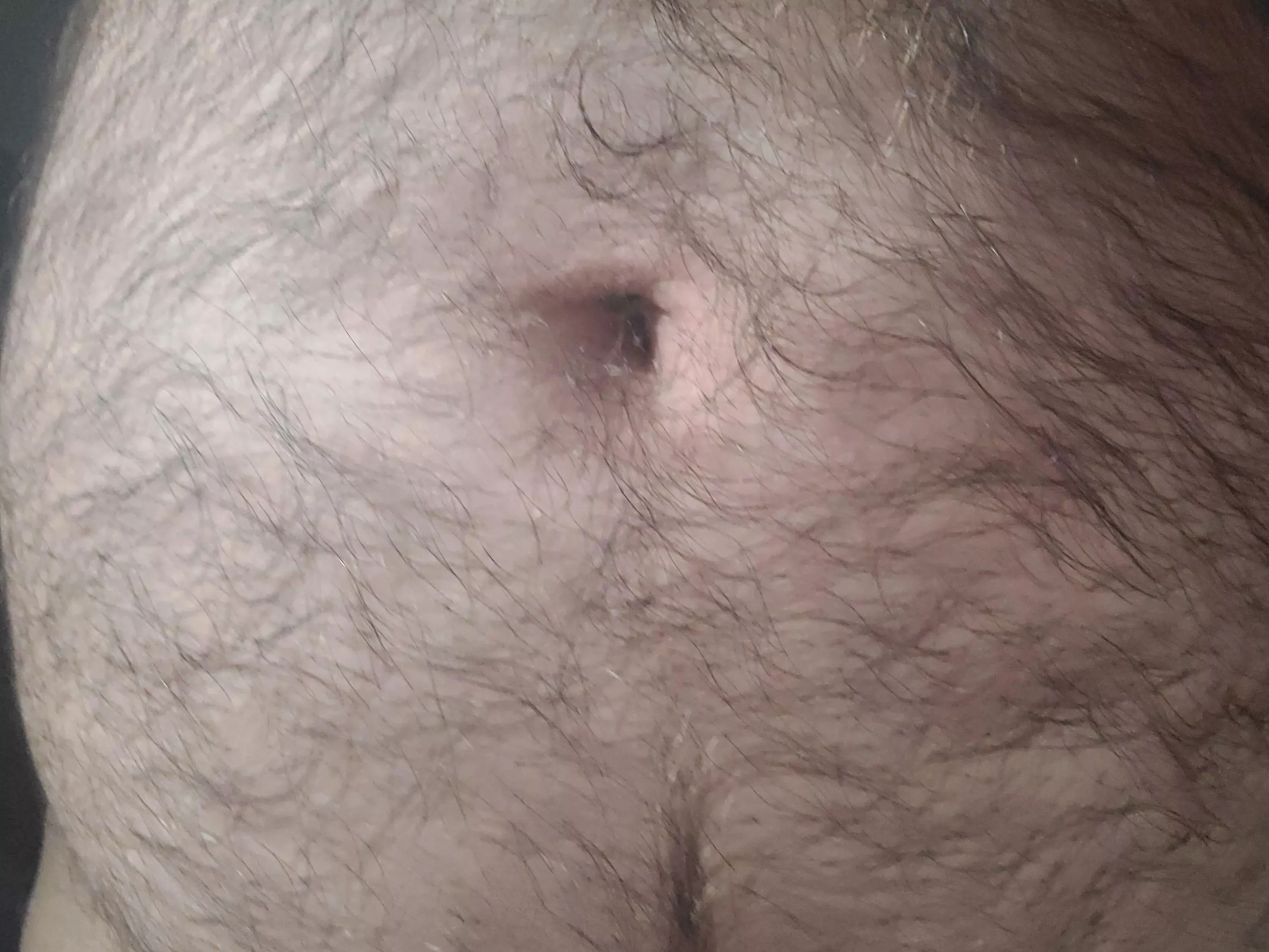 Super closeup hairy belly... anyone into pics like this?  posted by femboysexer