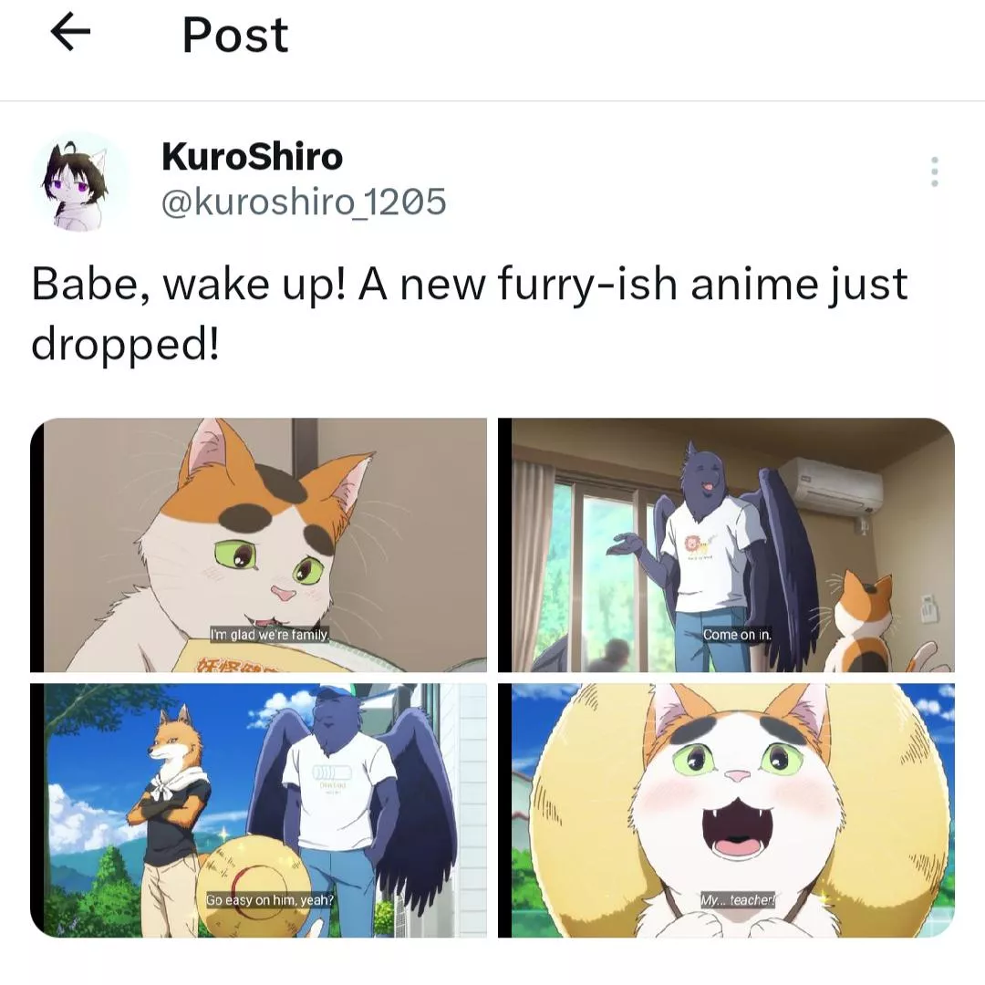 That cat is so freaking adorable btw. posted by Kurosh1ro