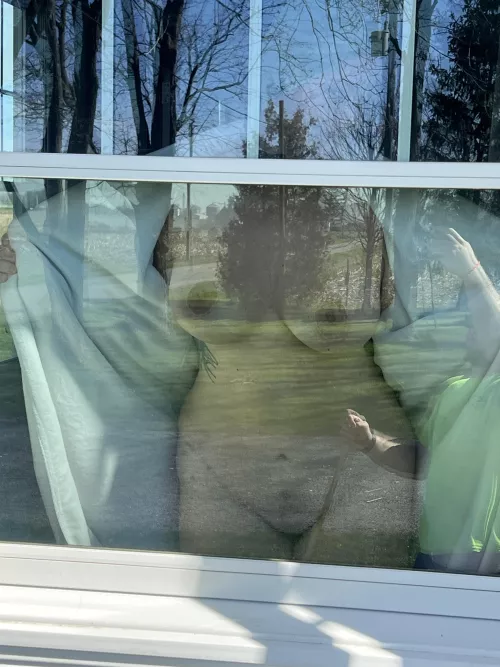 The joys of mowing around the house by Plus_Astronomer2375