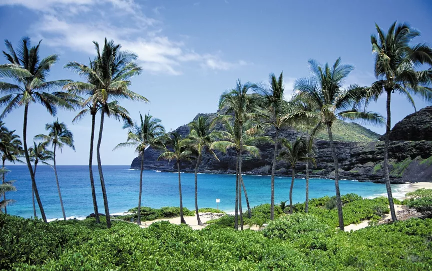 Vibes right now posted by jflanagan0615