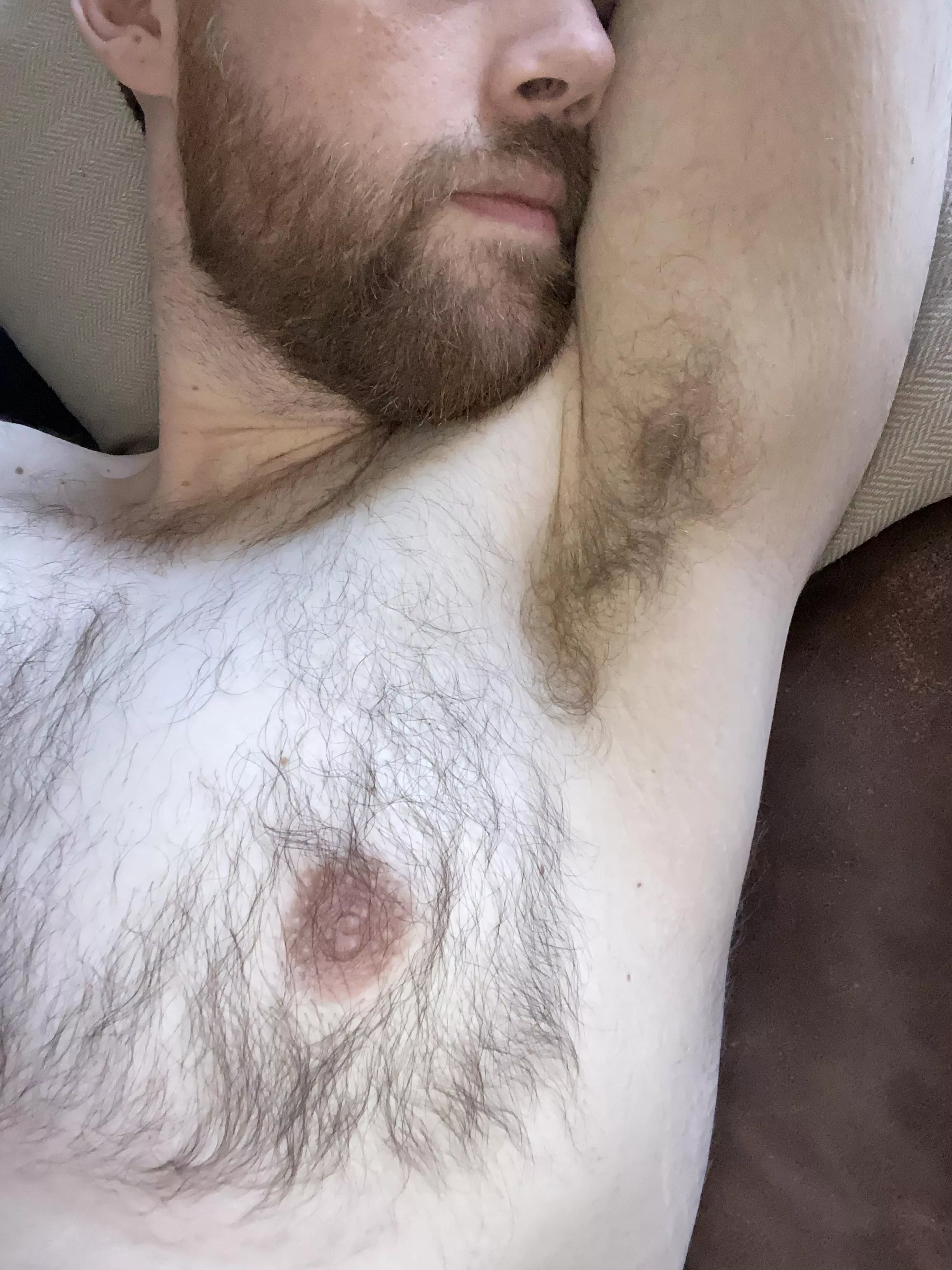 Want to end the weekend with your face in here? I promise it smells great  posted by NewMusician9921