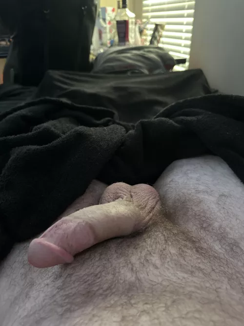 What do yall think of my soft cock? by Snapisbigtbruh