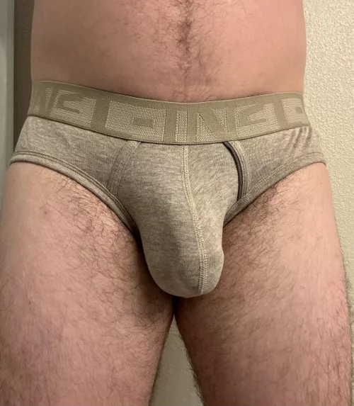 What do you think of these CIN2 briefs?  by bicycle09