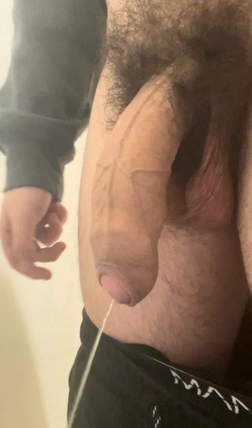 You like my thick bush?😏🍆Dms open😈 by HungYoungAlpha-