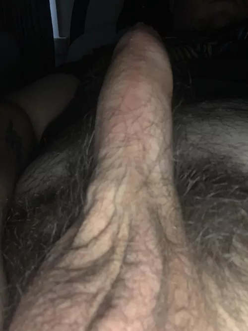 21 and looking to have some fun by Sad-Bet-852