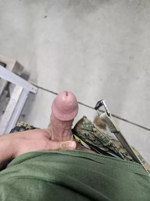 [21] bored and hard at work by lilfacefuq