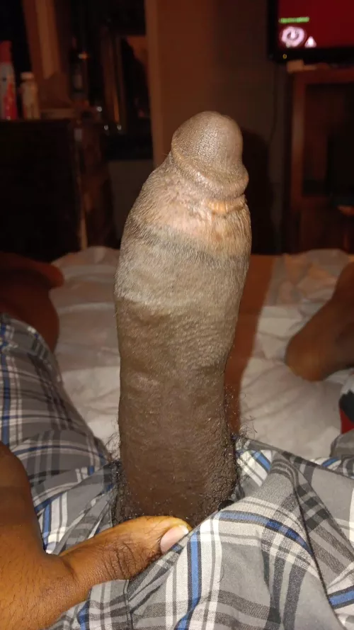 24. Any fat asses wanna have some fun with bbc wielding stud?. HMU at tankartist28 on Snapchat  by Blackheart287